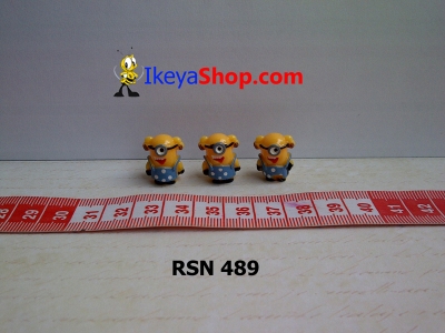 rsn 489  large2